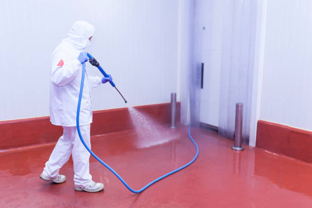 Best Rust Removal  in Gibraltar, MI