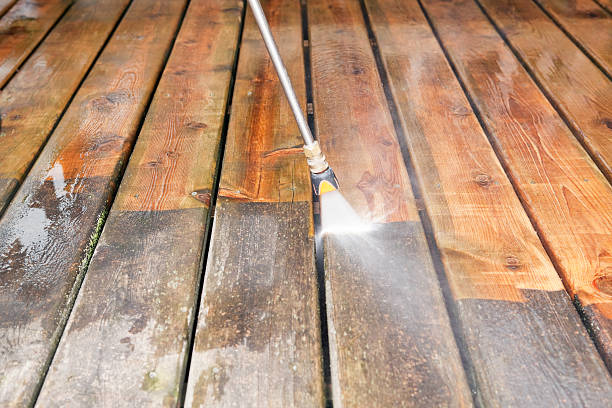 Best Animal Enclosure Cleaning  in Gibraltar, MI